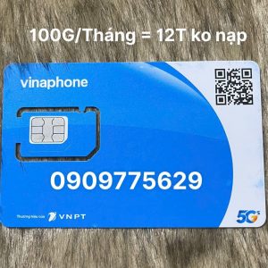 Sim 4G Vina 12T 1000G cho 1 Tháng