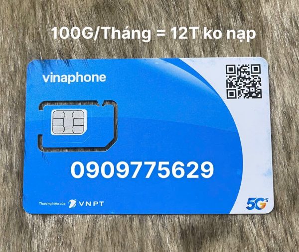 Sim 4G Vina 12T 1000G cho 1 Tháng